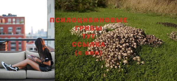 тгк Тавда