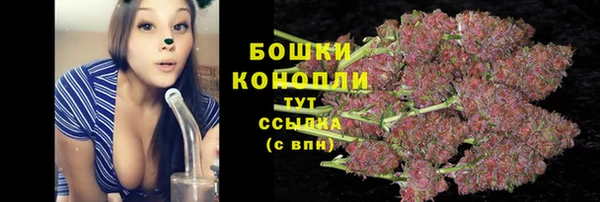 крисы Зеленокумск
