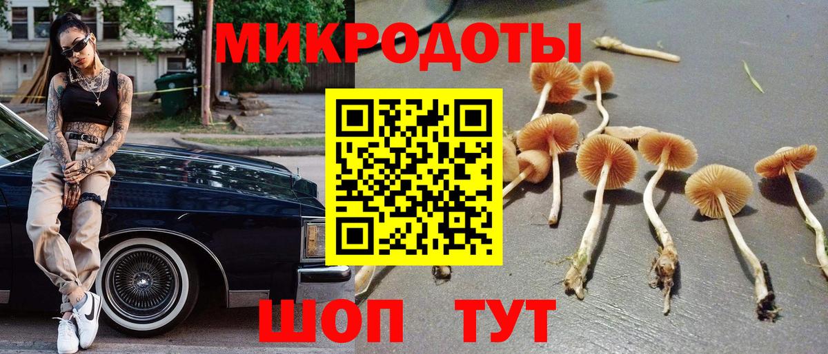 Пушкино  Галлюциногенные грибы Psilocybine cubensis  Вход с VPN  Псилоцибиновые грибы Psilocybe 