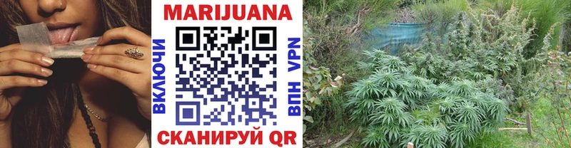 Бошки Шишки SATIVA & INDICA  Пушкино 